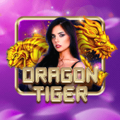 Dragon Tiger arena plus login live casino